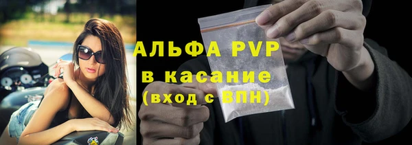 индика Нязепетровск
